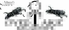 Ishwar's Overtake Exclusive Logo